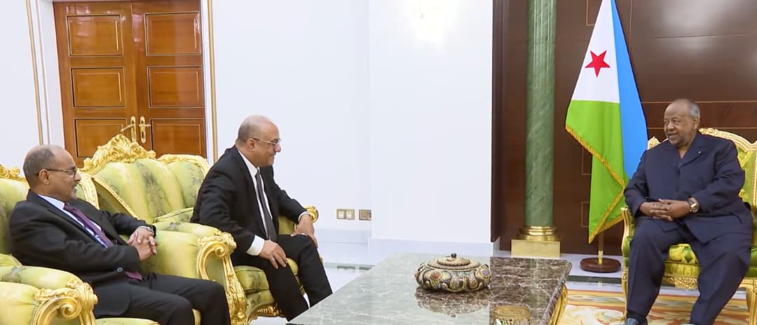 الرئيس الجيبوتي يستقبل وزير التخطيط والتعاون الدولي