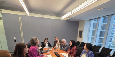 وزيرة التخطيط والتعاون الدولي تبحث مع مؤسسة التمويل الدولية تعزيز الشراكة مع القطاع الخاص ودعم قطاع الكهرباء